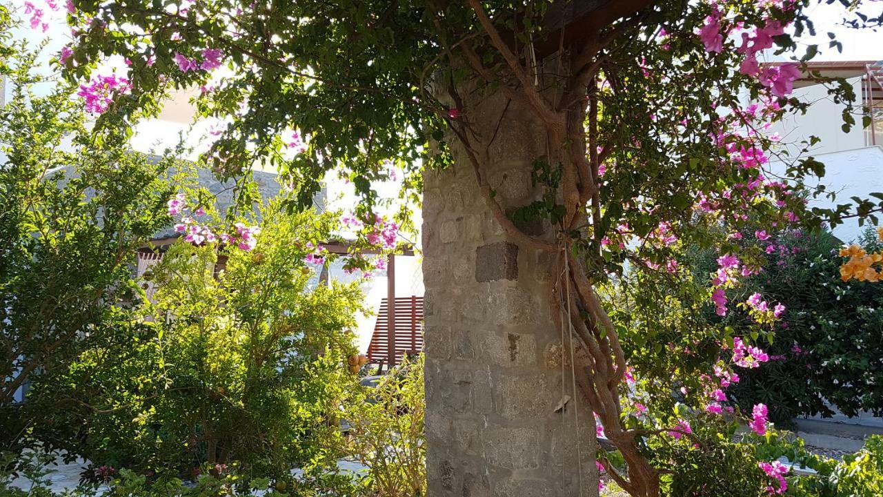 Villa Patmos Netia Skála Exteriör bild